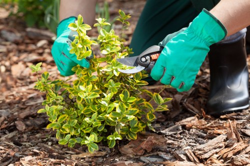Gardener assessing a garden before work begins